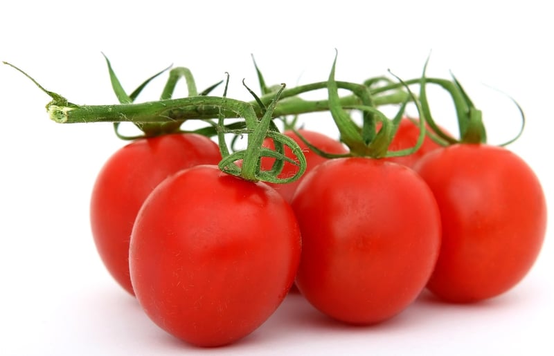 Umami-rich ingredients